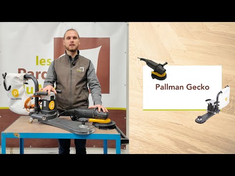 Pallmann Gecko star 2.0 bec court