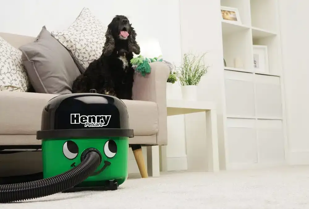 Numatic Henry Petcare Vert Compact 2.jpg.webp