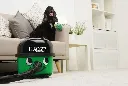 Numatic Henry Petcare Vert Compact 2.jpg.webp