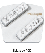 Wolff - Ninja - Segment Segment éclats de PCD pour plateau de ponçage avec segments PCD Scraper par pièce