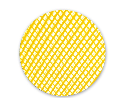 Abrasif ø 150 mm Ultranet par pack